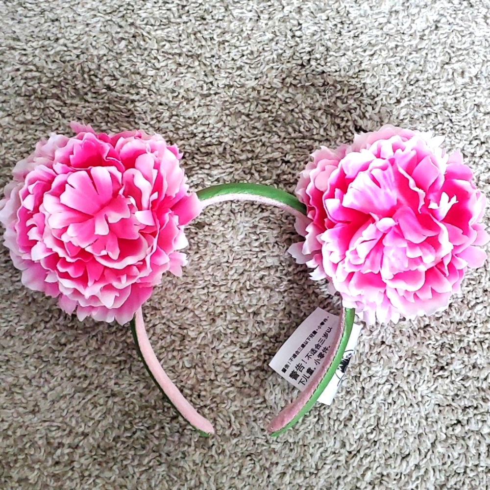 Mickey Ears